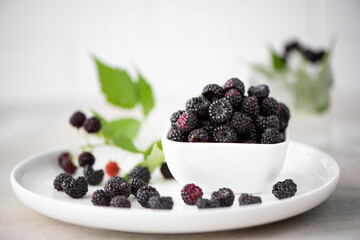 ripe black forest raspberries in a white bowl