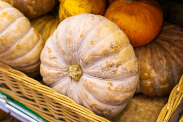 pumpkins close - up sale of vegetables. Autumn harvest to decorate on Halloween.