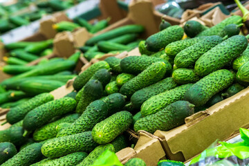 Vegetable department with a wide selection in a large supermarket. Vegetarianism and healthy lifestyle.