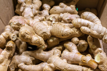 ginger root close-up. sale of spices and vegetables