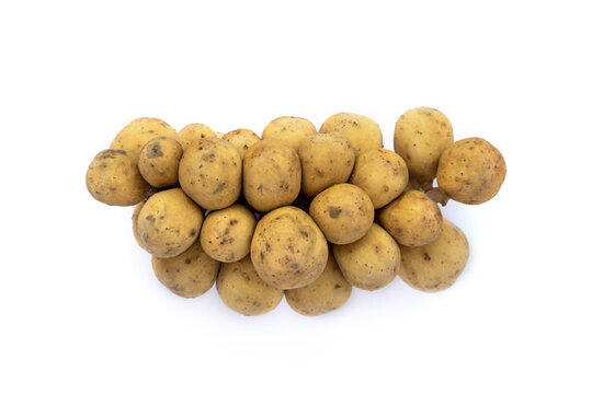 Longkong (Dookoo, Duku, Dokong, Langsat) is a fruit of the same species as langsat with thick skin but no resin and sweeter taste, on white background with studio light. Clipping Paths.