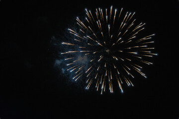 Colorful firework at night