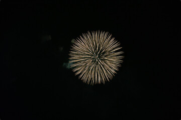 Colorful firework at night