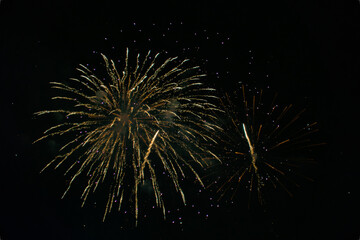 Colorful firework at night