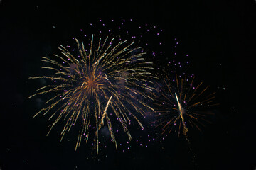 Colorful firework at night