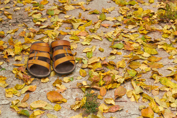 Concept. The end of summer, came autumn, ended warmly, leaves sandals