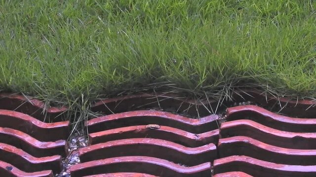 梅雨真っ盛り、雨の雫がそちこちに・・・