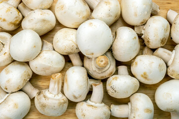 white raw mushrooms champignons background Healthy food. on wooden background