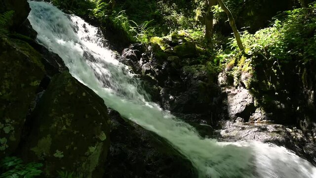 Calm and magical picture of waterfall in the forest. Fast waterfall, splashing water over rocks. Surrounded by greenery and plants with a decent sunlight falling over the area.