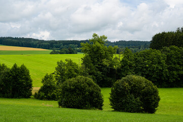 Hügellandschaft in Oberschwaben