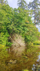 Burfoot Park