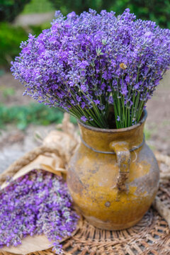 Rustic still life with lavender. A large bouquet of lavender in an old handicraft clay jug on the background of a garden in Ukraine. Bouquet of lavender in kraft paper near the jug. Vertical image.