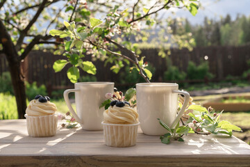 Two beautiful porcelain coffee cups with homemade blueberry cupcakes with vanilla cream on wooden table in spring garden. Apple tree branches in bloom in setting sun light.