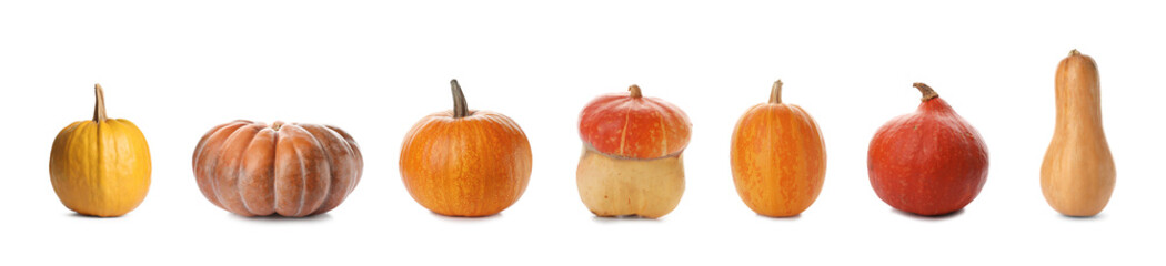Set with fresh raw pumpkins on white background. Banner design