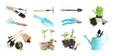 Set of vegetable seedlings and gardening tools on white background. Banner design