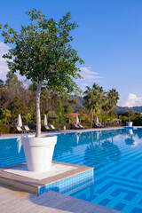 Swimming pool of luxury hotel. Full swimming pool filled with blue water. Travel concept, travelling. Hotel business.