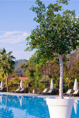 Swimming pool of luxury hotel. Full swimming pool filled with blue water. Travel concept, travelling. Hotel business.