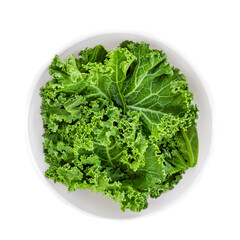 Kale leaves. Green  curly  salad in a bowl isolated on white background. Kale macro