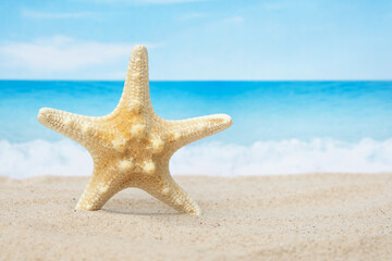 Fototapeta na wymiar Closeup beautiful starfish on white sand beach with blue sea in sunny day, selective focus