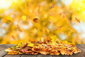 Naklejka na ściany i meble Autumn leaves falling on wooden surface outdoors