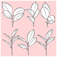 branches and leaves collection, flat style. Pink background