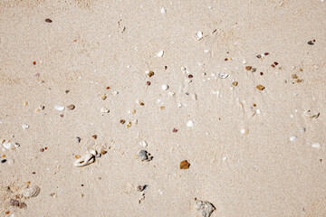 Background texture of beach sand