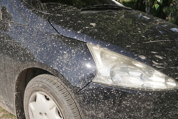 Dirty Black Car After A Road Trip