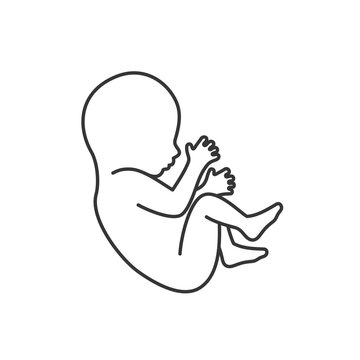 666 Best Uterus Line Drawing Images Stock Photos Vectors Adobe Stock