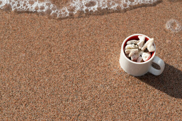 White Corals Collection in a Mug on Red Sand of the Red Sea Coast