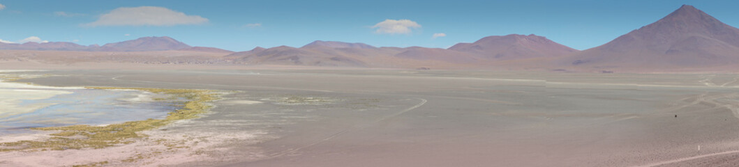 Red waters and flamingos at Colorada Lagoon - South of Bolivia.