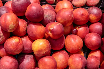 Ripe delicious juicy plums on the counter of a street market.