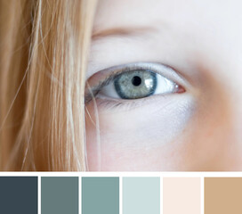 Close up beautiful gray eye, blond hair and skin, small part of a face. Color palette swatches,...