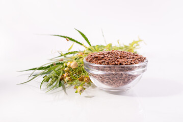 Composition with , flax seeds, and plants on white background. Organic Healthy food background.