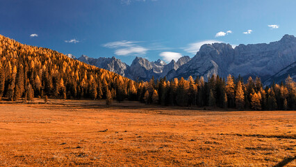 Fototapeta premium Autumn mountains landscape. Amazing aerial view of the Dolomite Alps at sunny autumn day with yellow larches below and valley gloving by fsun and high mountain peaks behind.