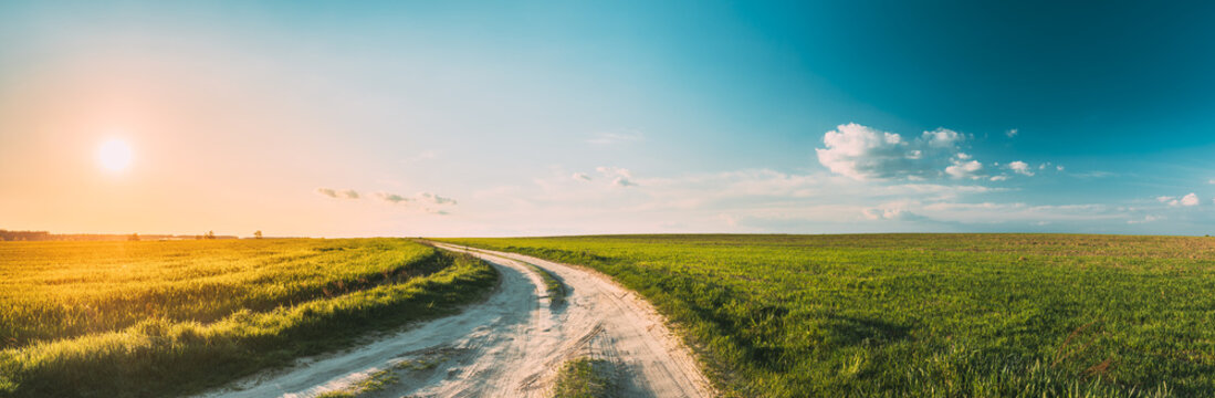 Sun Sunshine In Sunset Bright Sky. Beautiful Evening Sky Above Rural Landscape With Country Road. Young Green Wheat Field Meadow And Countryside Road. Agricultural And Weather Forecast Concept - Powered by Adobe