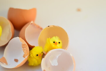 easter chick and egg