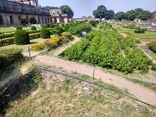 garden in the park