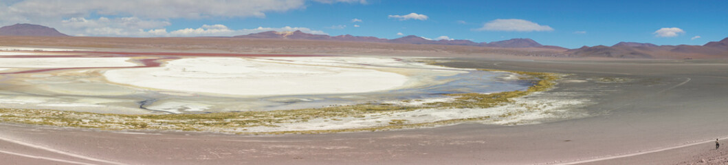 Red waters and flamingos at Colorada Lagoon - South of Bolivia.