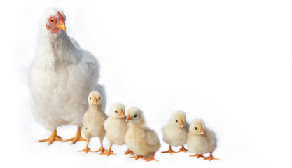 Mom and kids in photostudio