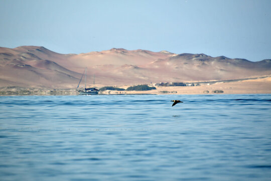 The Paracas Peninsula 27