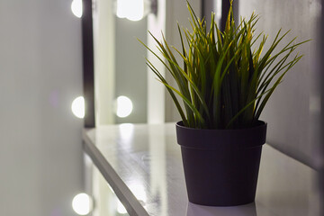 Home interior artificial plants on a white shelf, dark background