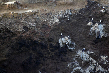 the Ballestas Islands- view of the pacific ocean 22