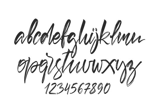 Handwritten calligraphic brush Font. English Alphabet letters whith Numbers