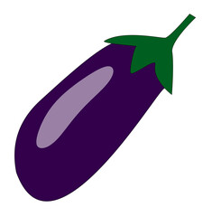 One eggplant on a white background