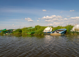 summer landscape with boats on the shore of the lake, the shore is covered with green grass, reflections in the water