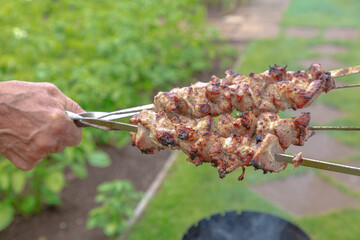 Cooking fried meat on skewers, grilling. Against the background of green grass