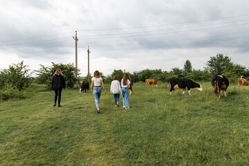 teen graze cows on the field