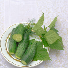 Freshly pickled cucumbers on a plate and currant leaves on a light background.