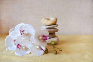 Fototapeta na wymiar white orchid flower and natural stone pyramid, relaxing zen background