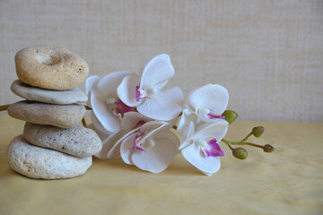 Fototapeta na wymiar white orchid flower and natural stone pyramid, relaxing zen background